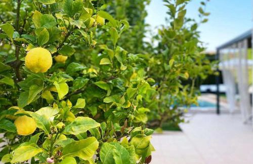 Puig de Ros House | Casa Schaefer - Wunderschönes Haus mit Pool in der Nähe von Palma