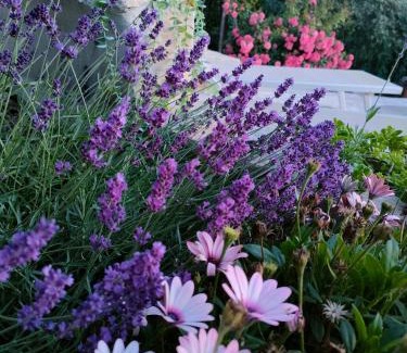 Arcevia Apartment | Casa Silos