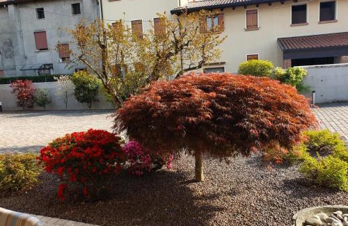 Tezze sul Brenta Apartment | Casa Sofia