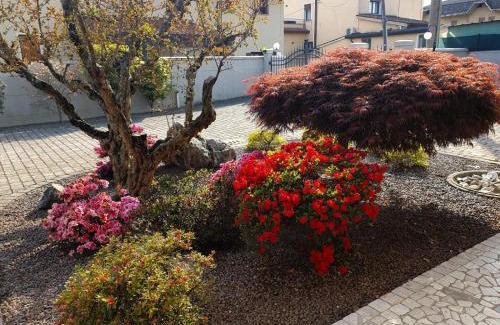 Tezze sul Brenta Apartment | Casa Sofia