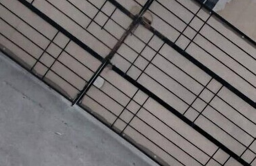 Juarez Municipality House | Casa Tina.