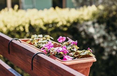 Nebbiuno Ski Chalet | Casa Torelù - Lakeside L&B