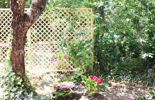 Aritzo Apartment | Casa vacanze il Giardino - Appartamento Ciliegio