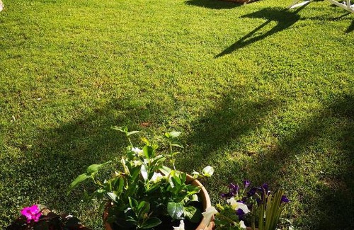 Brunate House | Casa Vacanze Le Violette