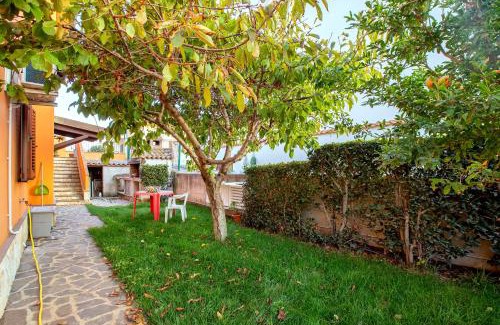 Olmedo Apartment | Casa Vacanze vicino ad alghero