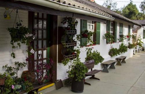 V Cristina Apartment | Casa Violeta