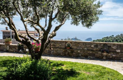 Colli di Fontanelle Villa | Casa Viva