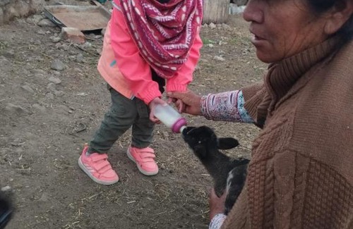 Coporaque House | Casa vivencial Mamá Vivi