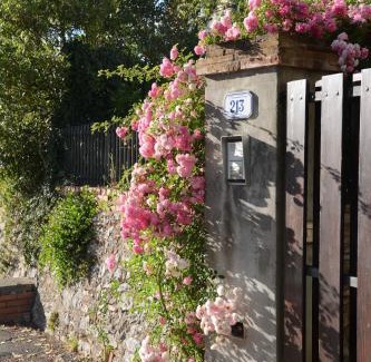 Monsummano Terme House | Casa1