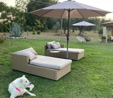 Larino Bed & Breakfast | Casale la Civetta