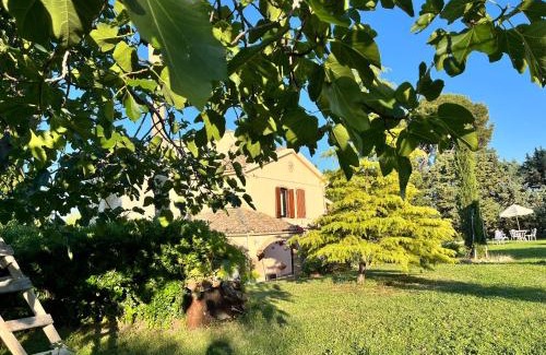 Larino Bed & Breakfast | Casale la Civetta