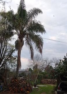 San Javier Apartment | Casanuestra