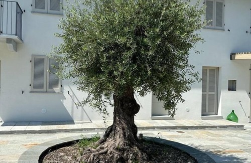 Canelli House | Cascina Canelli - Apt. Alba, Cascina Canelli - Apt. Alba