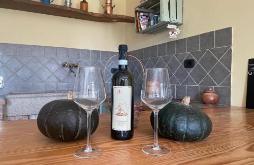 Vanara House | Cascina Teresina Monferrato Piscina