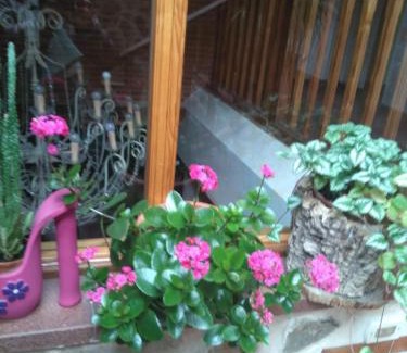 Rascafria Hotel | Caserón Trastamara