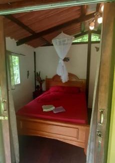 Eastern Panama Cabin | Casita Rio Indio