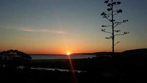 Sejenane House | Caslune