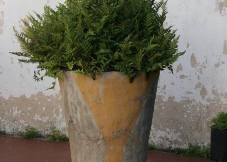 Victoria House | Casona Los Lilios en Victoria Entre Rios