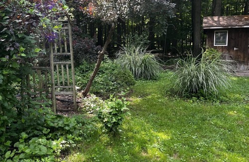 Lily Dale Cottage | Cassadaga cottage in the woods