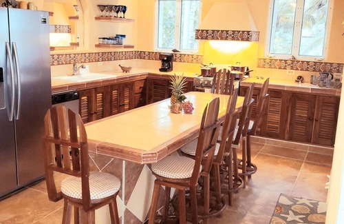 Majahual Villa | Castaway Palms Beach, Ocean & Pool Front House