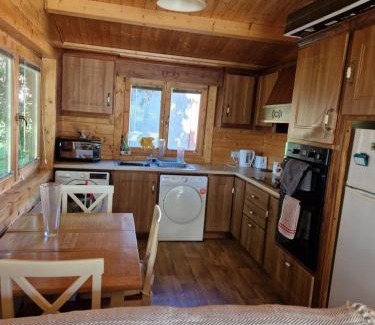 Dunmore Ski Chalet | Castle view Cabin