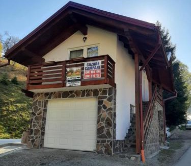 Borsa Apartment | Casuta Pietrosul Rodnei