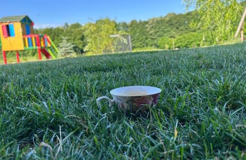 Grajduri Cabin | Casute La Poiana