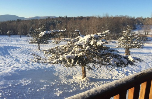 Prattsville House | Catskill Log Home Getaway