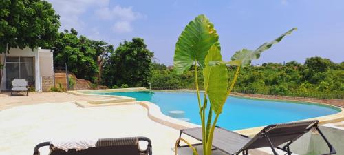 Ukunda House | Cave Diani Holiday Apartments
