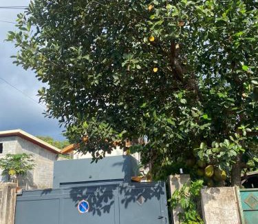 Tsingoni Apartment | Cazemiel