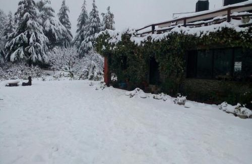 Ramgarh Cabin | Cedar Lodge By Aahma