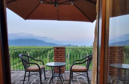 Shilda Hotel | Château Davitiani