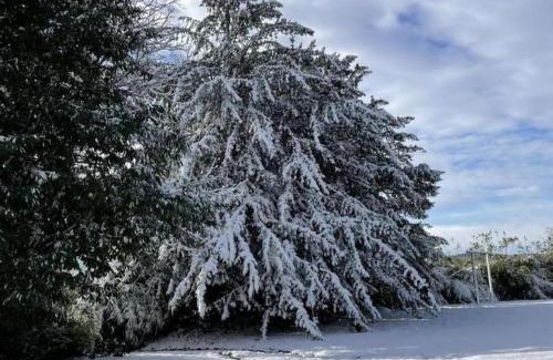 Bellavilliers House | Château de Bellavilliers - Séjour de charme dans le Perche avec WIFI - FR-1-497-102