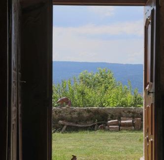 Haut-Valromey Bed & Breakfast | Château de Sothonod