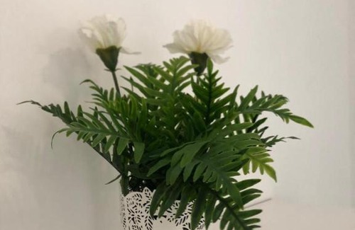 Chayofa Apartment | Ch1112hhha zhss