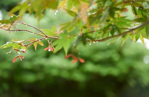 Bongpyeong House | CHAEUL Pension