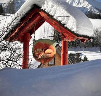 Zdiar House | Chalúpka u líšky Elišky