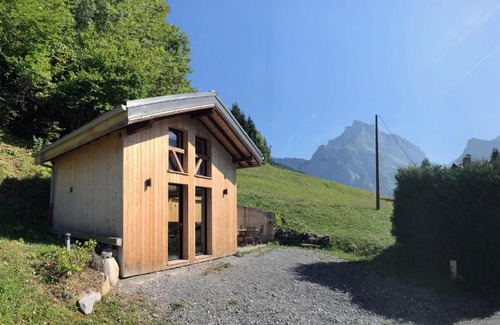 Sixt-Fer-a-Cheval Ski Chalet | Chalet* au pied d'une prairie face à la montagne