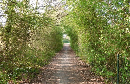 Bouere Ski Chalet | Chalet Bouère, 3 pièces, 5 personnes - FR-1-600-87