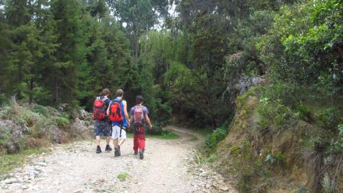 Tinjaca House | Chalet Casa de Teja