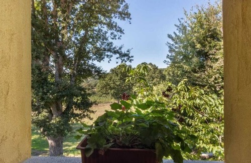 Fonni Ski Chalet | Chalet "Domus De Janas" (Surrounded by nature)