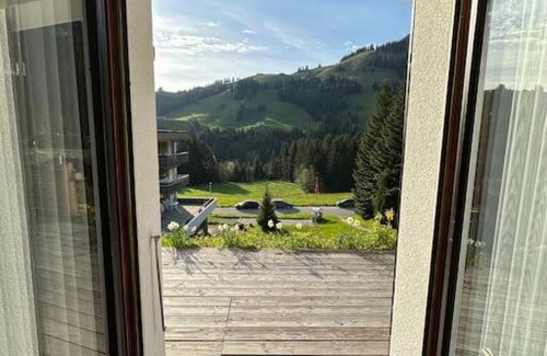 Moleson Apartment | Chalet du Moléson