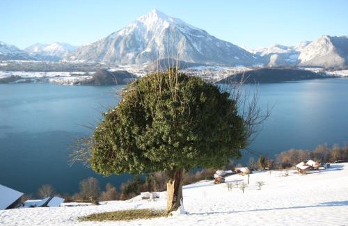 Sigriswil Ski Chalet | CHALET EGGLEN "Typical Swiss House, Best Views, Private Jacuzzi"