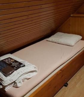 Kranj Ski Chalet | Chalet Kujavnk