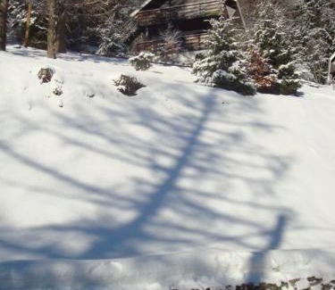 Les Lolettes Ski Chalet | chalet la colline