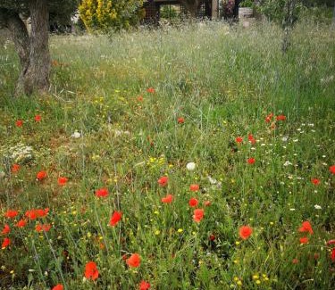 Mazaleon House | Chalet Marina