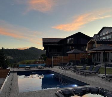 Polyanytsya Apartment | Chalet Panorama (Апартаменти)