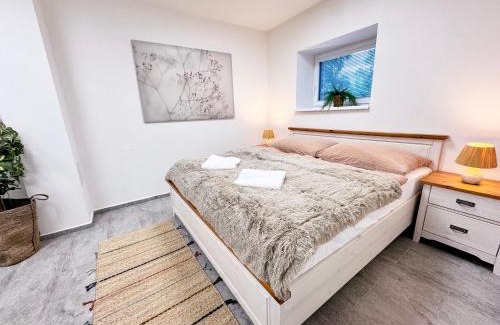 Predni Vyton Apartment | Chalet Pasečná