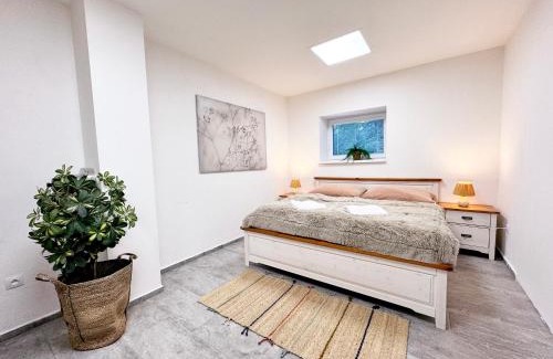 Predni Vyton Apartment | Chalet Pasečná