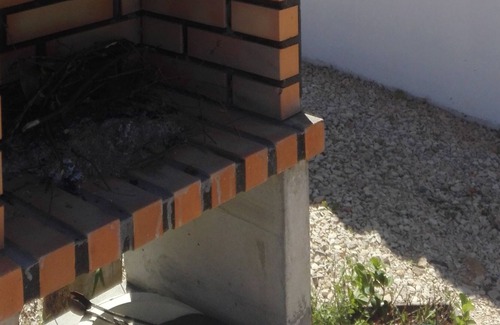 Ferrarias House | Chalet, private pool, bbq, Galé beaches, Armação Pera.